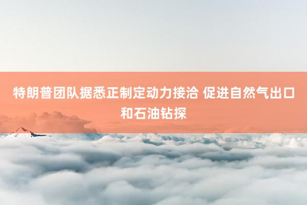 特朗普团队据悉正制定动力接洽 促进自然气出口和石油钻探