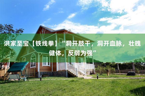洪家至宝【铁线拳】“洞开肢干，洞开血脉，壮魄健体，反弱为强”