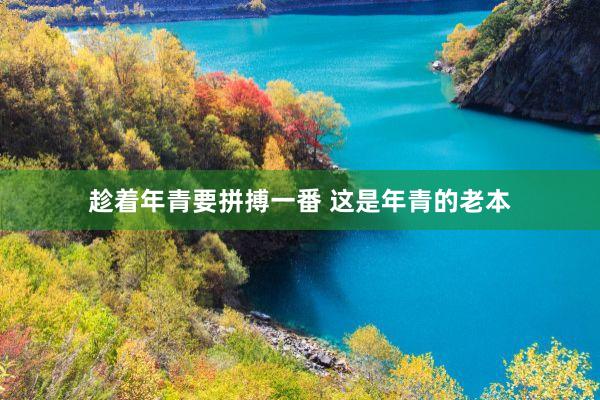 趁着年青要拼搏一番 这是年青的老本