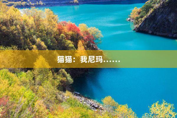 猫猫：我尼玛……